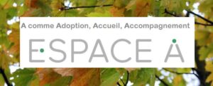 NewsletterOctobre